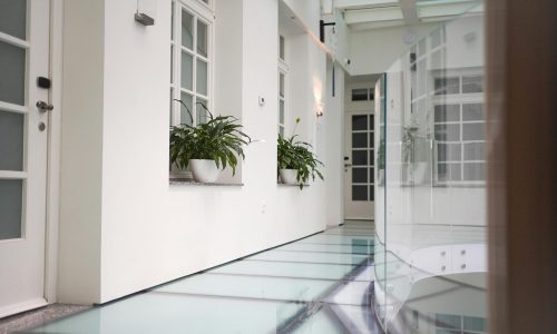Sleek interior hallway with glass floor and plants, featuring clean and minimalist design.